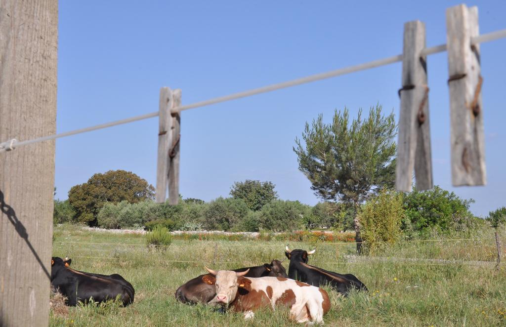 Alojamento de Acomodação e Pequeno-almoço Masseria Uccio 3*